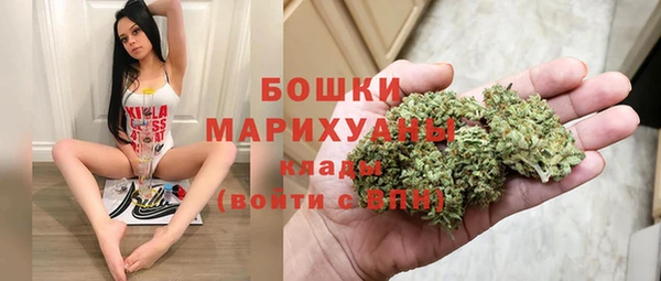 шишки Дмитров