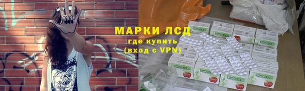 шишки Дмитров