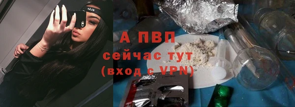 стафф Дмитровск