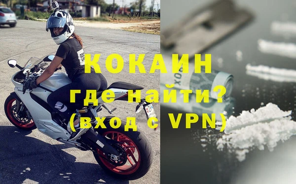 шишки Дмитров