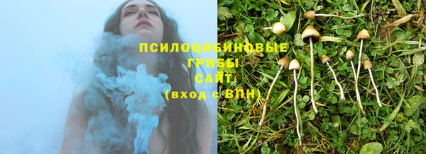 соль курить ск Дмитриев