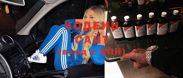 шишки Дмитров