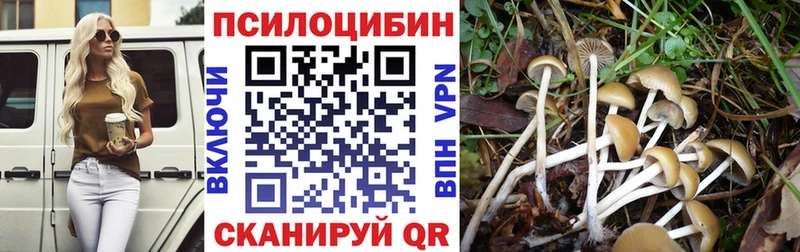 Псилоцибиновые грибы Magic Shrooms Новошахтинск